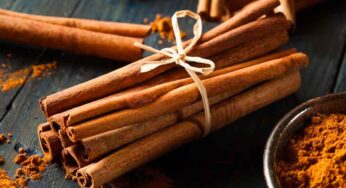 దాల్చినచెక్కతో రుతుక్రమ నొప్పులకు చెక్‌!