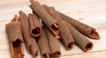 దాల్చిన చెక్కలో ఇన్ని సుగుణాలున్నాయా?