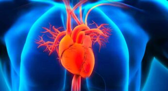 గుండె సుర‌క్షితంగా ఉండాలంటే.. ఈ ఆహారాల‌ను త‌ప్ప‌క తీసుకోవాలి..!