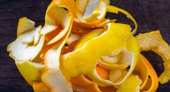 అమ్మో.. నిమ్మ తొక్క‌ల‌తో ఇన్ని ఉప‌యోగాలా..?