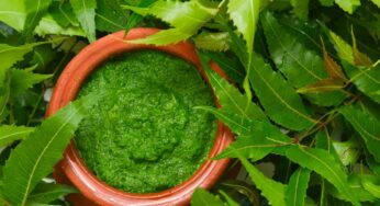 డ‌యాబెటిస్ ఉన్న వారికి వేపాకులు మేలు చేస్తాయా ? వైద్యులు ఏమంటున్నారు ?