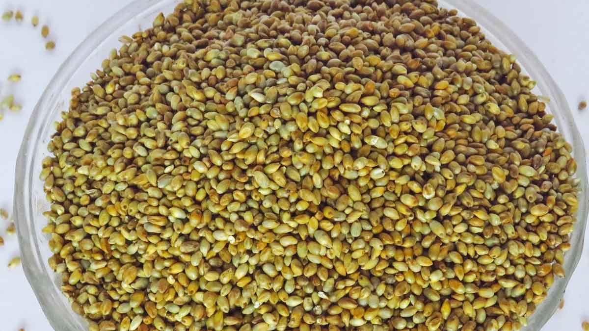 many wonderful health benefits of pearl millets 