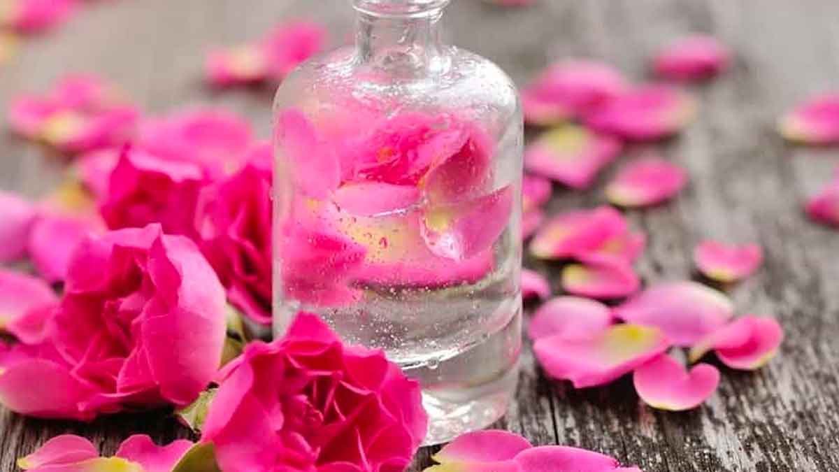 how to make rose water at home