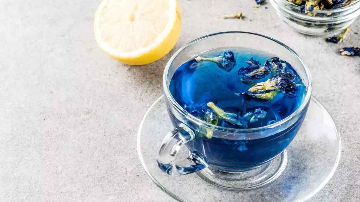 many wonderful health benefits of shankhapushpi tea 