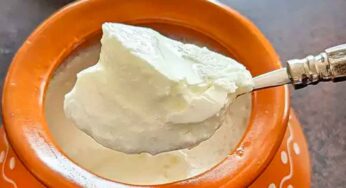 పెరుగు పుల్ల‌గా మార‌కుండా త‌యార‌వ్వాలంటే.. ఇలా చేయండి..!