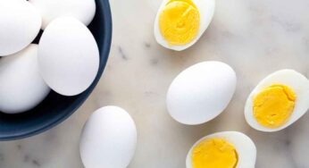 ప్రతిరోజూ గుడ్డు తీసుకోవడం వల్ల కొవ్వు పెరుగుతుందా?