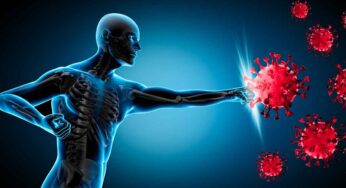 వ్యాధి నిరోధక శక్తిని పెంచే ఆహారాలు ఇవే…!