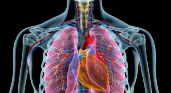 ఊపిరితిత్తులకు ఇన్ఫెక్షన్లు రాకుండా చూసే ఆహార పదార్థాలు…!