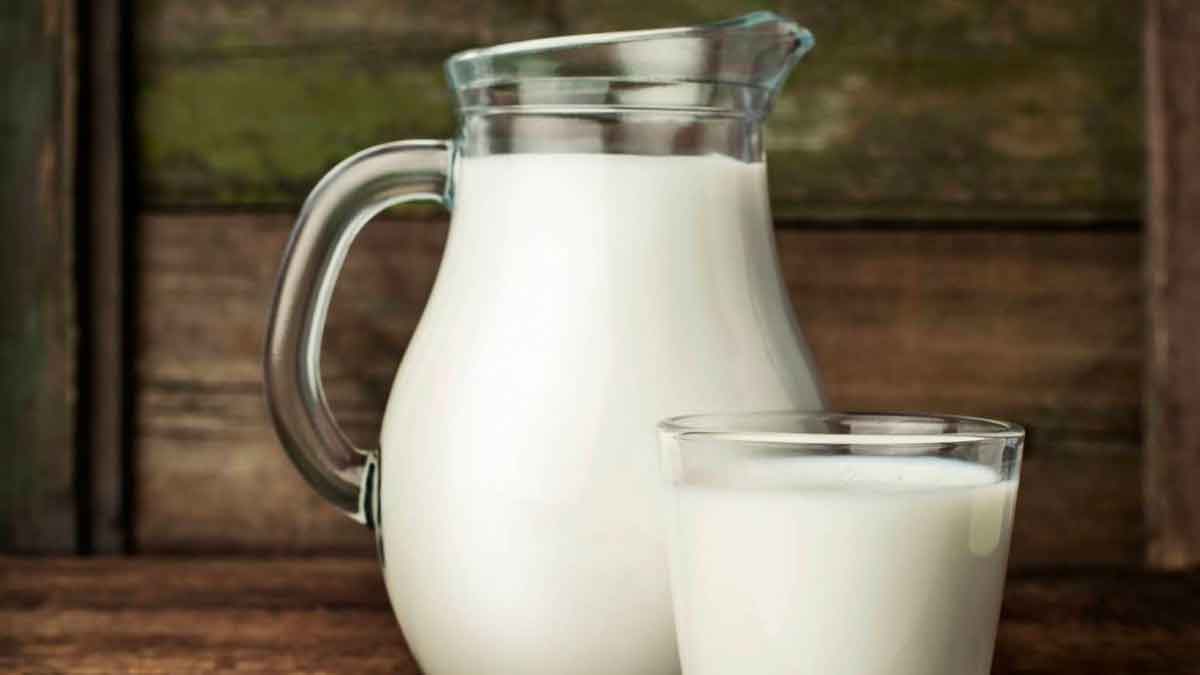 if you are drinking milk daily then know this 