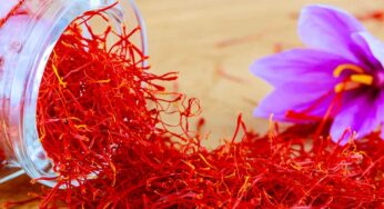 శృంగార సామ‌ర్థ్యాన్ని పెంచే కుంకుమ పువ్వు.. ఎలా తీసుకోవాలంటే..?