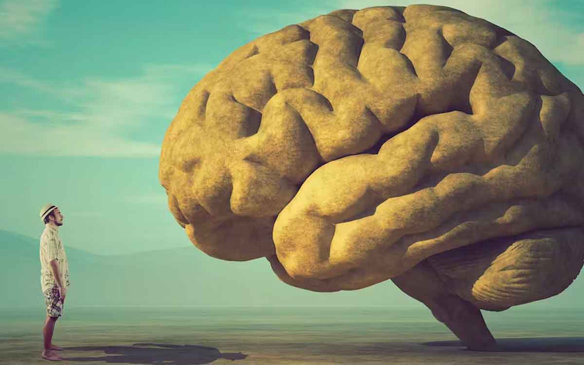 follow these tips to make your brain work quickly 