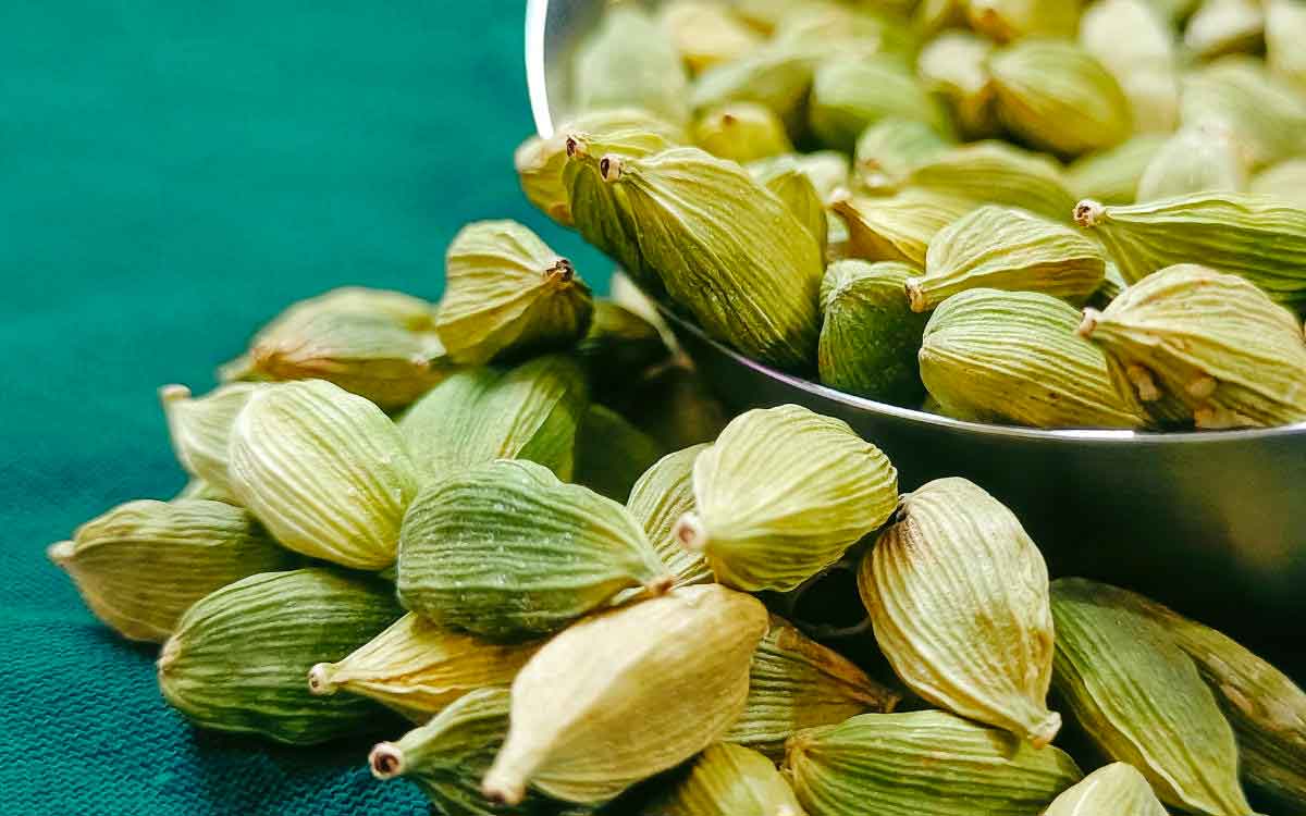 taking cardamom can increase sexual desire in men 