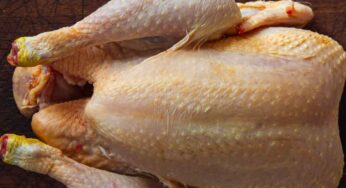 చికెన్‌ను స్కిన్‌తో తినాలా..? స్కిన్ తీసేసి తినాలా..? ఎలా తింటే మంచిది..?