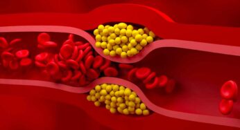 ఉద‌యాన్నే అల్పాహారంగా దీన్ని తింటే కొలెస్ట్రాల్ క‌రిగిపోతుంది..!