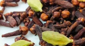 యాల‌కులు, ల‌వంగాల‌తో ఇన్ని లాభాలు ఉన్నాయా..?