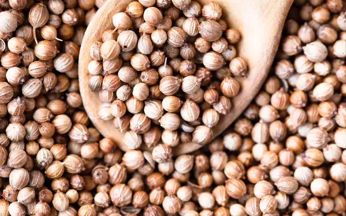 many wonderful health benefits of coriander seeds 