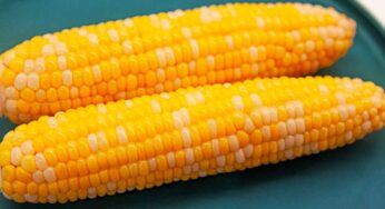 మొక్క‌జొన్న‌ల‌ను తిన‌డం వ‌ల్ల ఎన్ని లాభాలు ఉన్నాయో తెలుసా..?