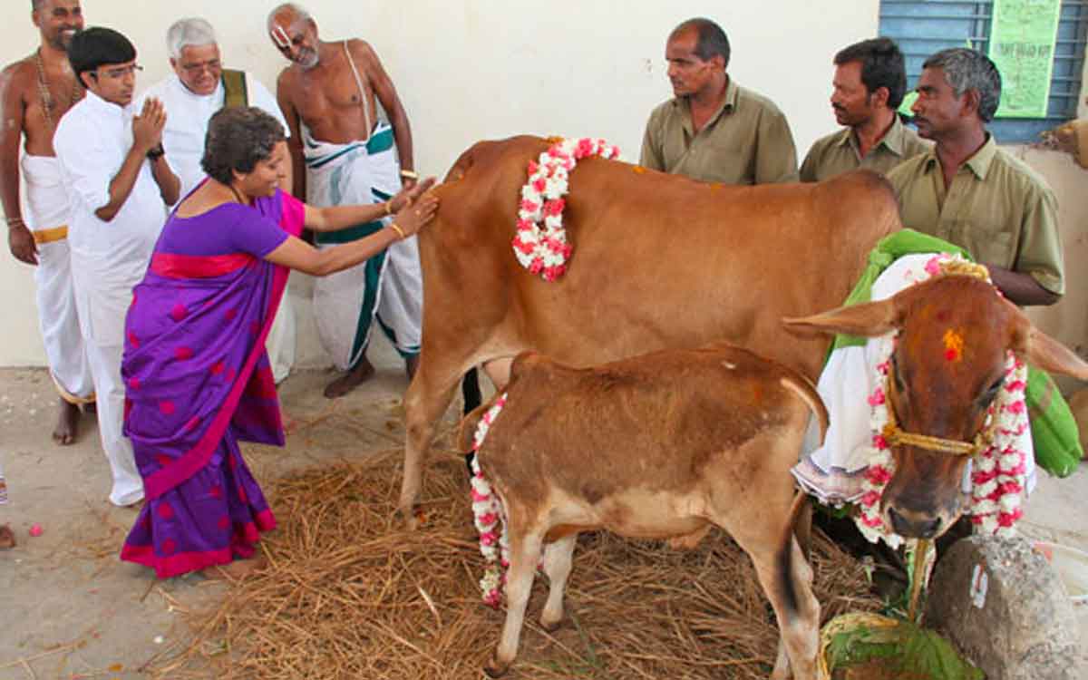 what happens if you do godanam 