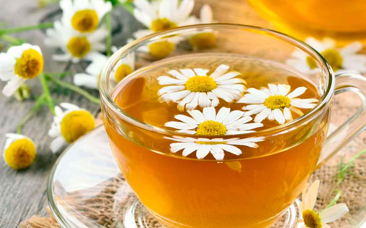 take these herbal teas to increase your immunity 