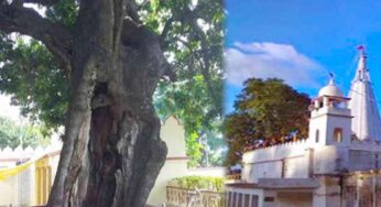 శివుడు మూడో క‌న్ను తెరిచిన ప్రాంతం ఇదే..! అక్క‌డ కాలిపోయిన చెట్టు ఇప్ప‌టికీ క‌నిపిస్తుంది..!