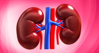 మీ కిడ్నీలు ఆరోగ్యంగా ఉండాలంటే.. ఈ ఆహారాల‌ను రోజూ తినండి..