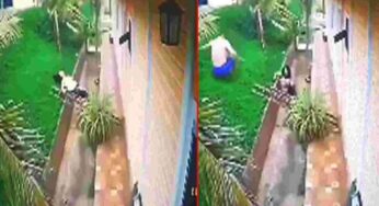 ప్రేమంటే ఇదేరా.. భార్య మేడపై నుంచి పడిపోవడం చూసి.. ఈ భర్త చేసిన పని..