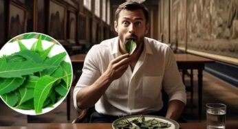 ఆరోగ్య సంజీవిని.. రోజూ ఉదయాన్నే ఈ ఆకులు ఐదు తింటే సర్వరోగాలు మాయం..!