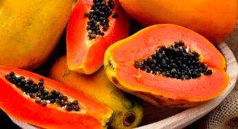 బొప్పాయిని రోజూ డైట్‌లో చేర్చుకుంటే ఎన్ని లాభాలో..!