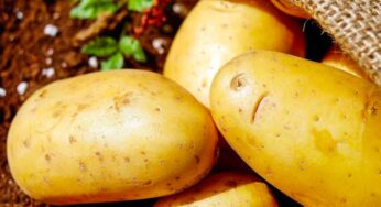 ఆలుగ‌డ్డ‌ల‌తో ఇన్ని ఉప‌యోగాలు ఉన్నాయా..?