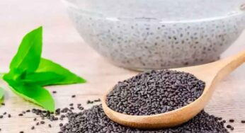 అధిక బ‌రువు, డిప్రెష‌న్‌, కీళ్ల నొప్పులు, జీర్ణ స‌మ‌స్య‌ల‌కు చ‌క్క‌ని ప‌రిష్కారం… స‌బ్జా గింజ‌లు..!