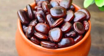 చింత గింజ‌ల‌ను ఇలా తినండి.. శ‌రీరంలోని కొవ్వు మొత్తం క‌రిగిపోతుంది..