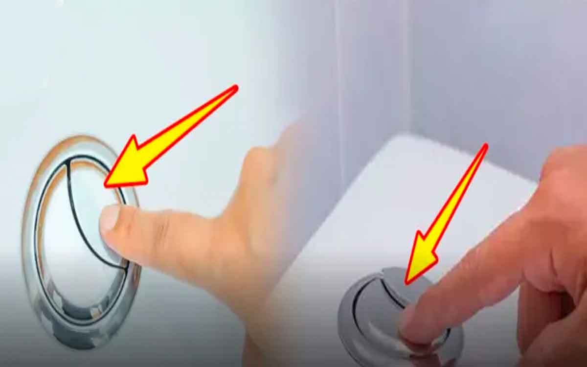 why modern toilets have two flush buttons 