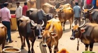 దోపిడీ దొంగ‌ల నుంచి తెలివిగా త‌ప్పించుకున్న ప‌శువుల వ్యాపారి..