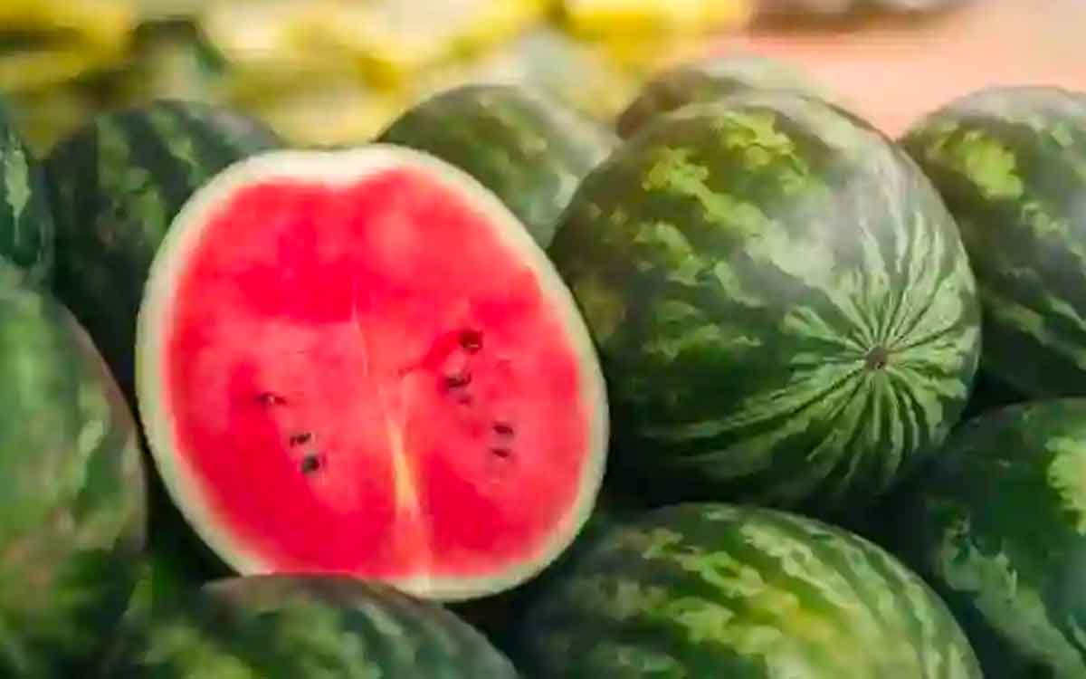how to identify a better ripen watermelon 