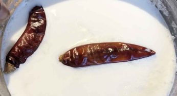 పెరుగు లేకుండా పాలు ఎలా తోడు పెట్టాలి?