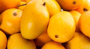 డ‌యాబెటిస్ ఉన్న‌వారు మామిడి పండ్ల‌ను తిన‌కూడ‌దా..? తింటే ఏమ‌వుతుంది..?