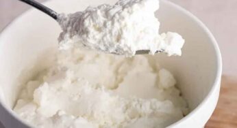 Dairy కంపెనీలు అమ్మే పెరుగు పిండి పేస్ట్ లాగా అదో వెరైటీ గా ఉంటుంది.వాళ్ళు ఏ సాంకేతిక పద్ధతిలో పెరుగు తయారుచేస్తున్నారు?