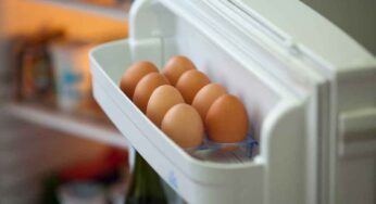 ఫ్రిజ్‌లో పెట్టిన గుడ్ల‌ను తిన‌రాద‌ట తెలుసా..? తింటే ఏమ‌వుతుందంటే..?