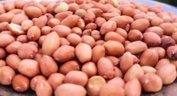 మీ గుండె ఆరోగ్యంగా ఉండాలంటే వీటిని తినండి..!