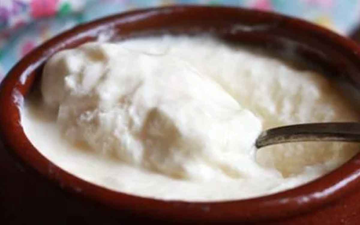 we must take curd daily know the reasons 