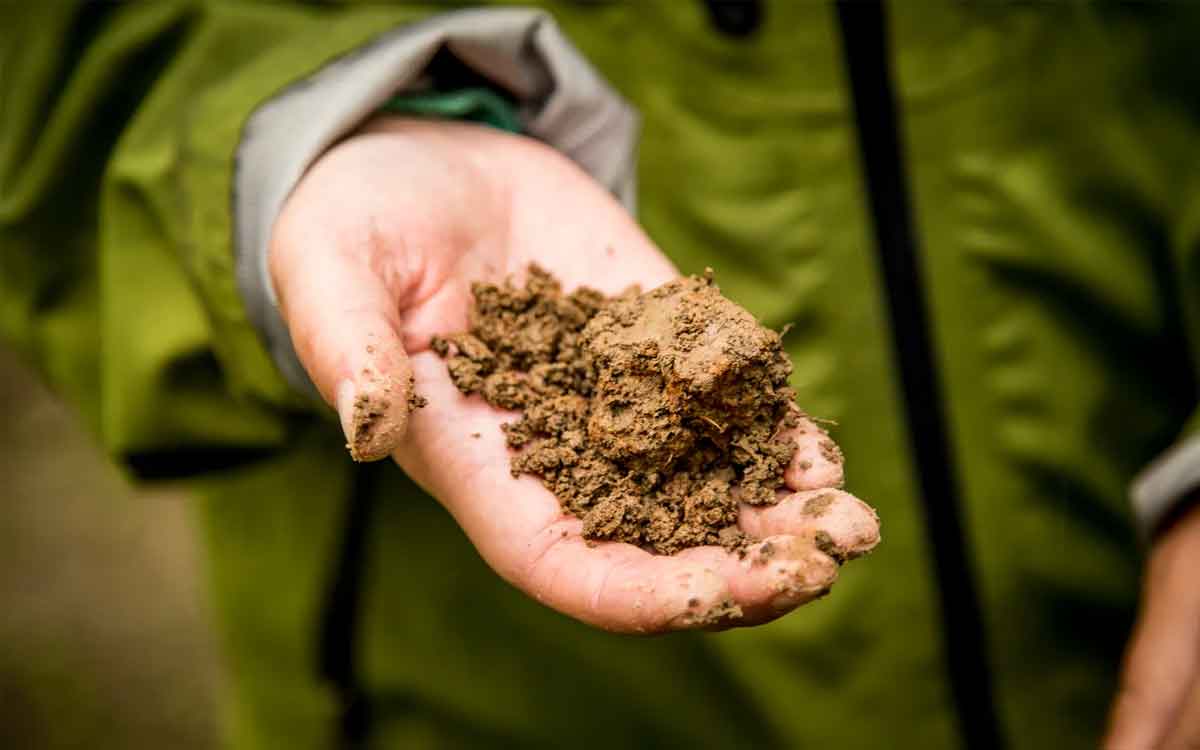 if you are eating soil then know how to get rid of that habit 