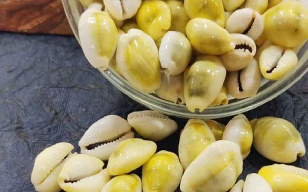 keep these lakshmi gavvalu in home for luck and wealth 