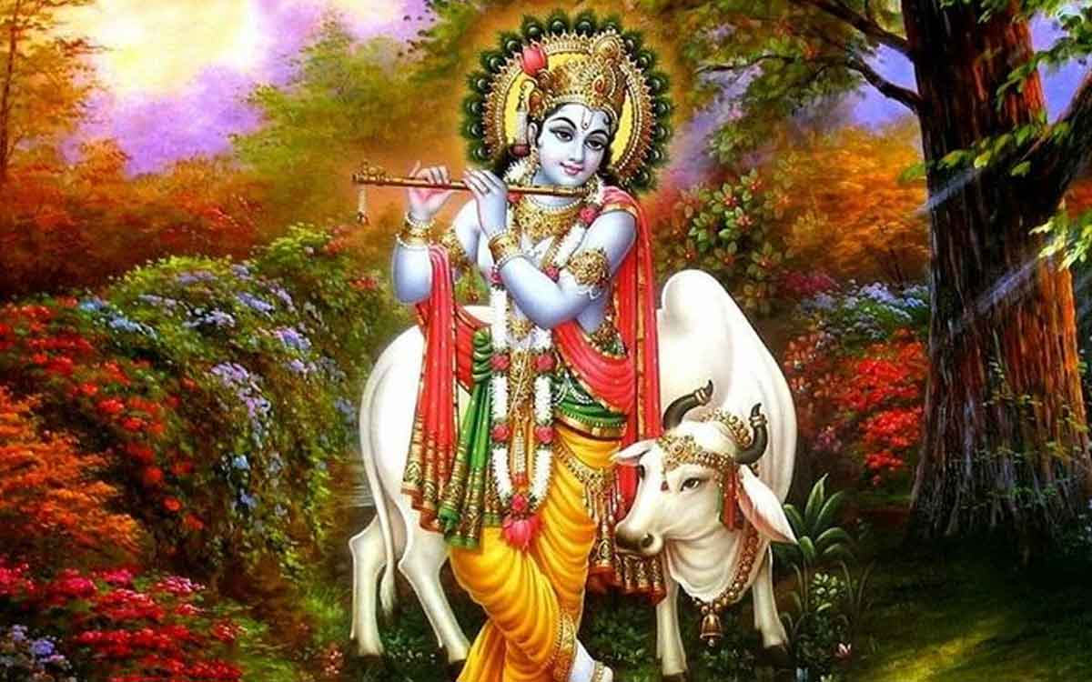 lord sri krishna faced these shapams 