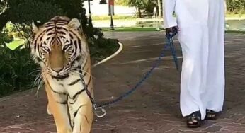 జంతువులు మనల్ని తిన్నప్పుడు మనం మాత్రం జంతువులని ఎందుకు తినకూడదు?